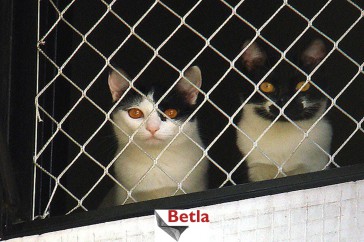  Siatka ochronna na balkon, dla kota 