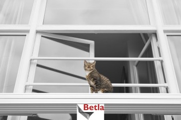  Siatka zabezpieczająca okna przed kotem 