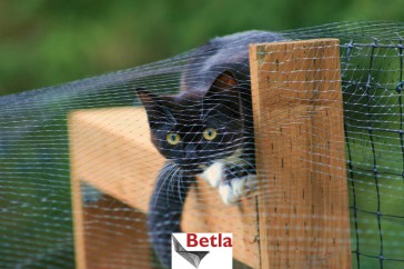  Siatka ochronna dla kotów, na balkony 